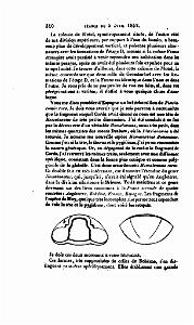 BULLETIN DE LA SOCIETE GEOLOGIQUE DE FRANCE 1852_000353